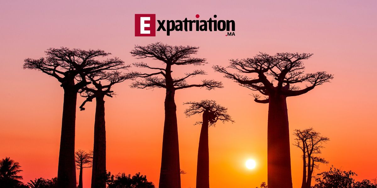 madagascar expatriation