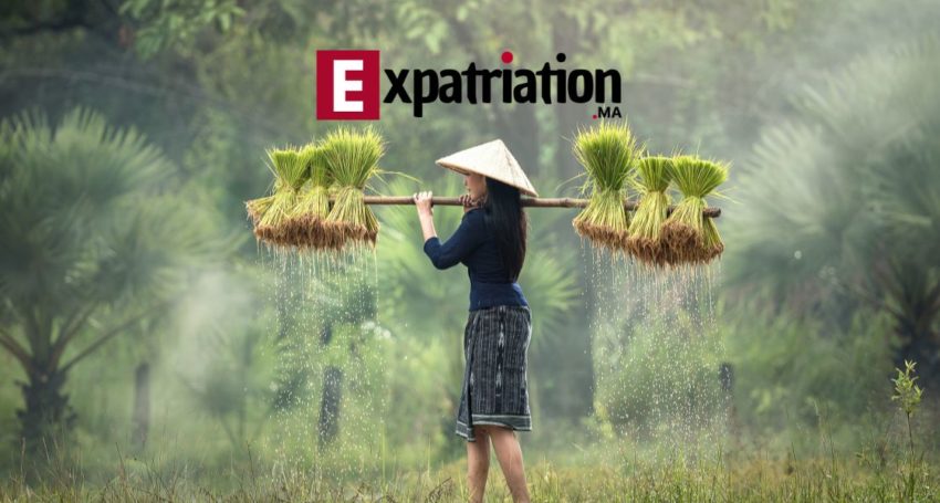 vietnam expatriation