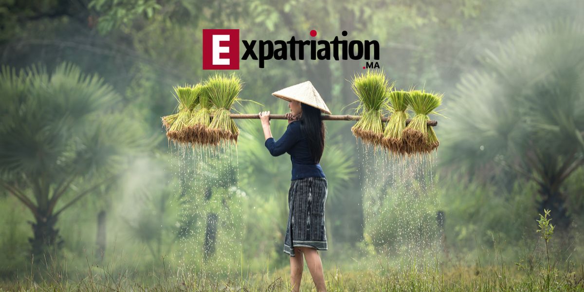 vietnam expatriation